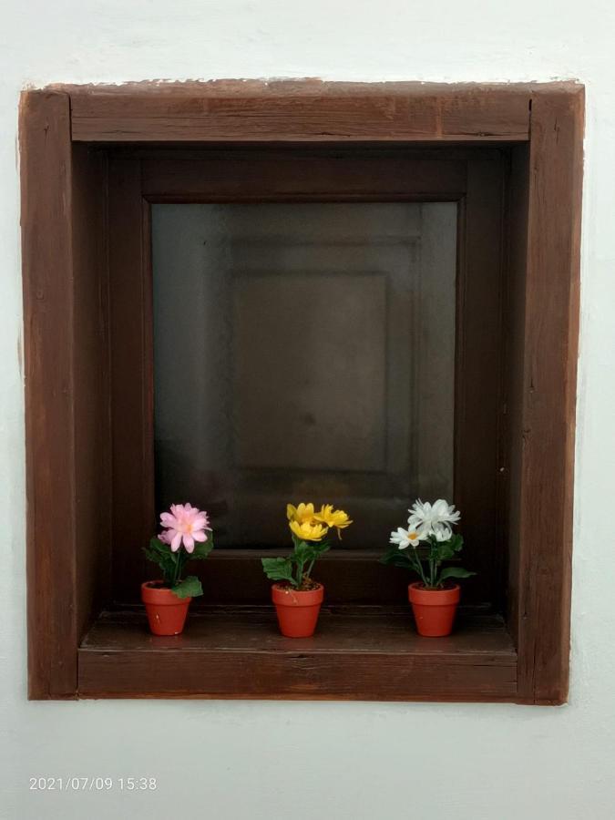 Florhouse Pacini Apartment Catania Luaran gambar